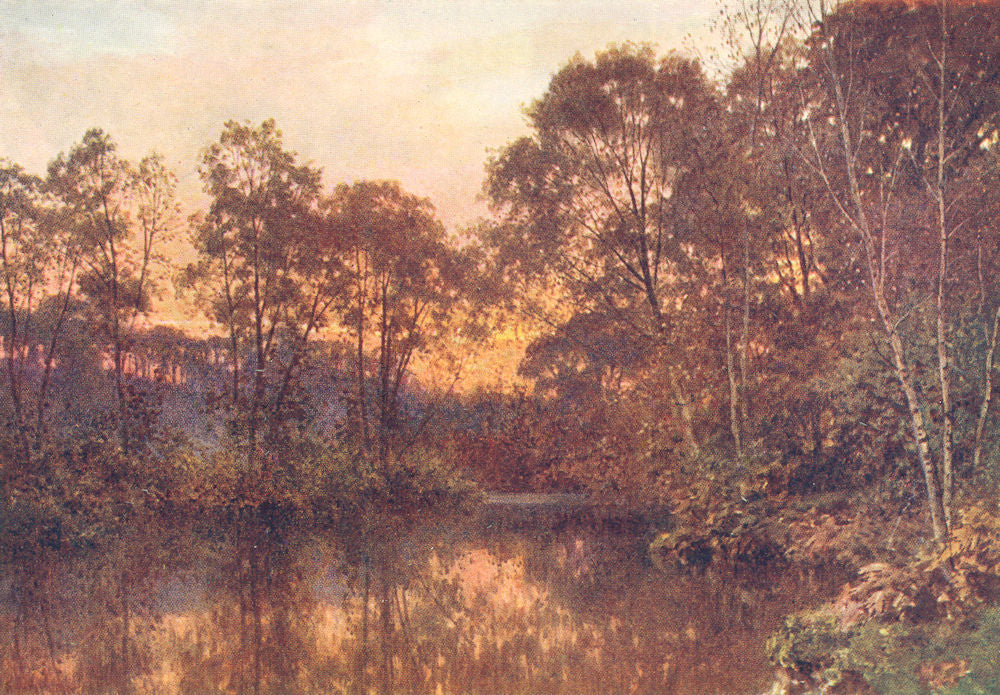 SURREY. Last Glow 1912 old antique vintage print picture